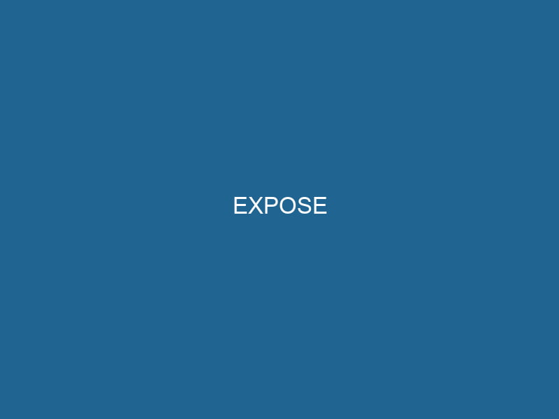 expose-2