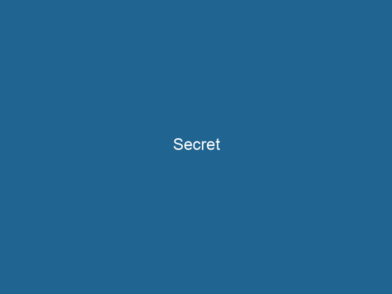 secret-2