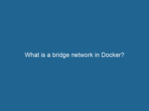 what-is-a-bridge-network-in-docker-2